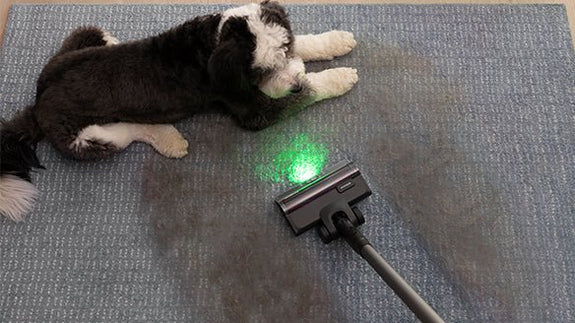 L'élément manquant du nettoyage domestique : Pourquoi Tineco offre une véritable sensation de fraîcheur